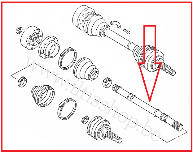 tekening-steekas-watermerk