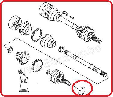 tekening-o-ring-op-cardanas-watermerk